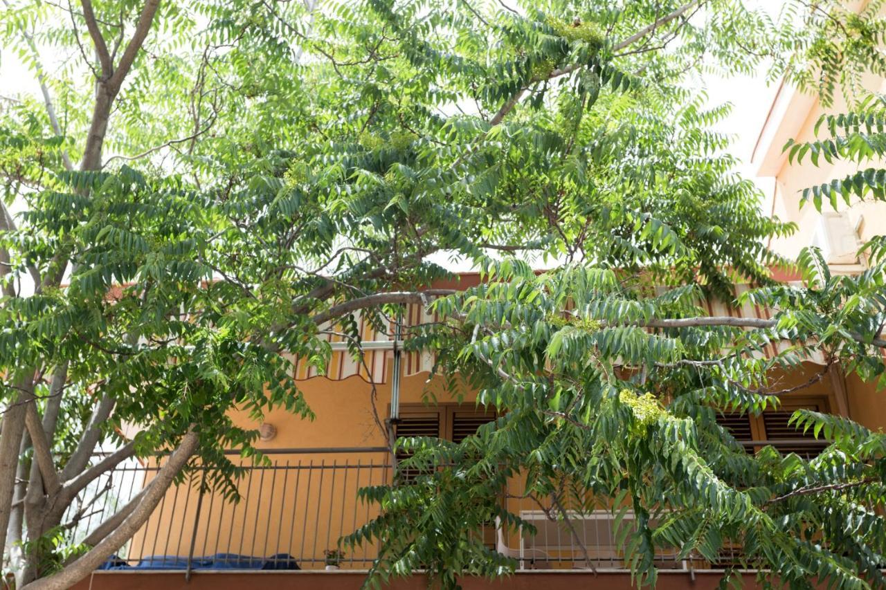 Casa Di Clara Apartman Acireale Kültér fotó